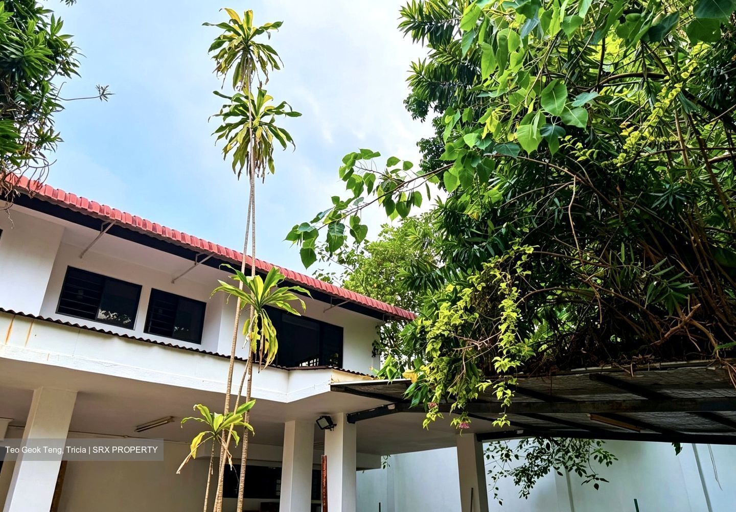 Robey Crescent (D19), Detached #549132271
